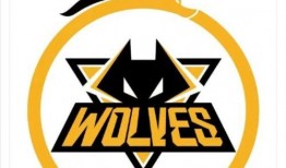 狼队训练赛爆料视频,精彩瞬间与战术解析