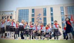 郑州锦绣小学爆料视频,揭秘校园生活真实面貌